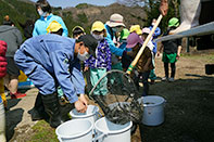 ヤマメ放流事業